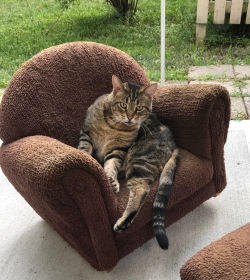 Fundraising Page Image