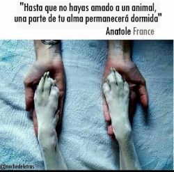 Fundraising Page Image